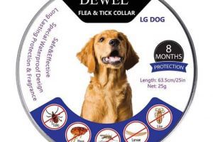 dewel mejor collar perro antiparasitario un año