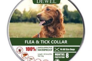 mejores collares antiparasitario para perros