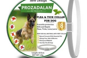 mejor collar antiparasitario para perro