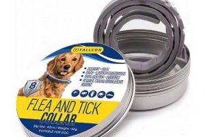 collar antiparasitario para perro