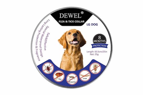 dewel mejor collar antiparasitario para perros 8 meses