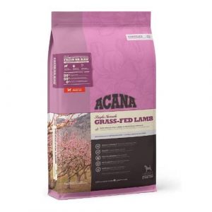 pienso ideal para bichón maltés