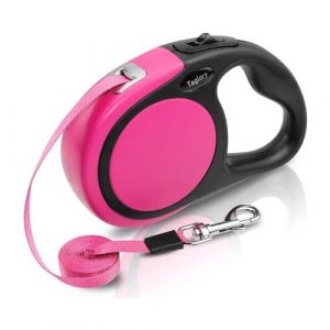 correa-perro-pequeño-extensible