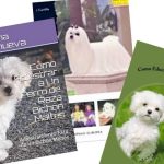 mejores libros sobre perro bichon maltes