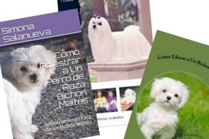 mejores libros sobre perro bichon maltes