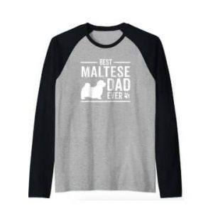 Bichón Maltés Camiseta Manga larga amazon