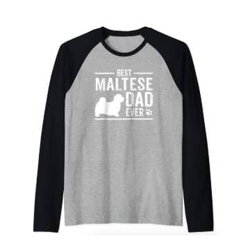 Bichón Maltés Camiseta Manga Raglan