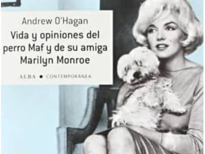 libro sobre marylin monroe y su maltes maf comprar amazon