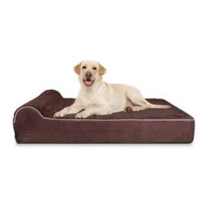 5 Mejores Camas Ortopédicas para Perros Pequeños: Análisis y Opiniones colchon