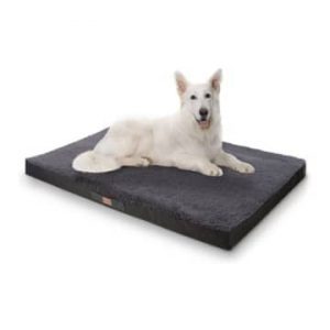 5 Mejores Camas Ortopédicas para Perros Pequeños: Análisis y Opiniones sofa perro grande espuma de memoria brunolie