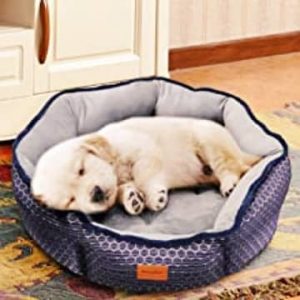 a0bb7b2f d089 456a 8d6a 589a4cbc2497. CR00300300 PT0 SX220 V1