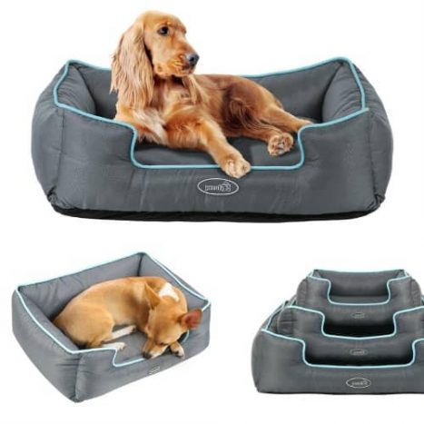 pecute camas para perros pequeños bichon maltes