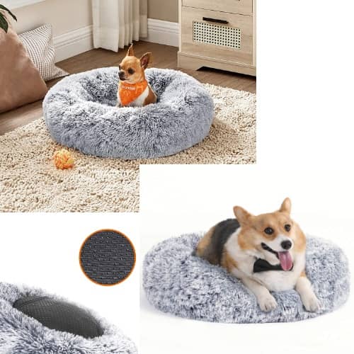 comprar-cama-antiestres-para-perros bichon maltes