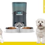 honeyguaridan comedero automático para perros
