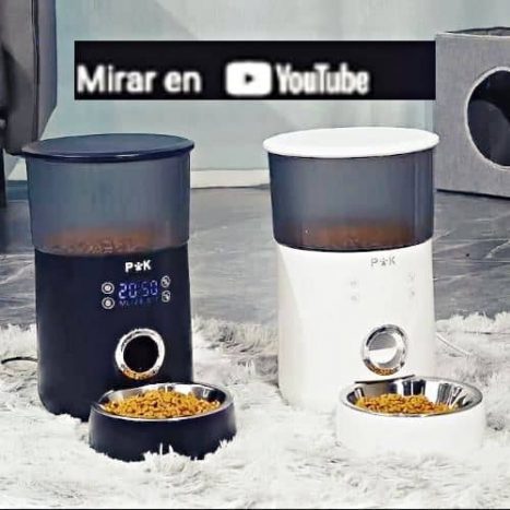 video mejores comederos automaticos perros puppy kitty