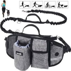 Pecute Correa Running Perro