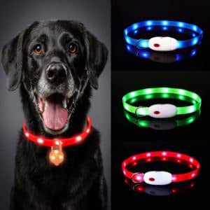 Collar LED Impermeable perros