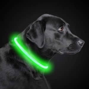 PetIsay Collar Perro LED Impermeable Longitud 70 cm