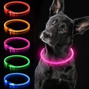 iTayga Collares Luminosos para Perros