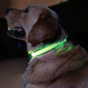 collar luminoso perros