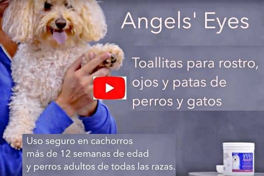toallitas-quitamanchas-perros-angels-eyes-uso