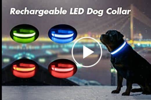 video collar con luz led para perros masbrill