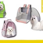 excelentes mochilas para perros toys