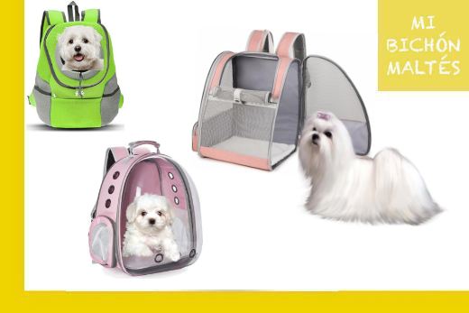 excelentes mochilas para perros toys