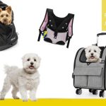 mejores mochilas para perros de 10 kilos