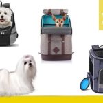 mejores mochilas para perros de 5 kilos