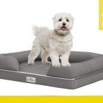 PetFusion cama de espuma viscoelástica para perros