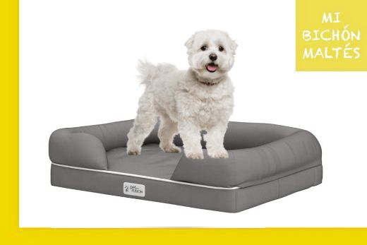 PetFusion cama de espuma viscoelástica para perros