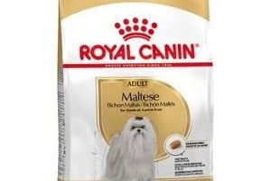 Tienda Online Mi Bichón Maltés royal canin maltese adult pienso con epa y dha para perros malteses