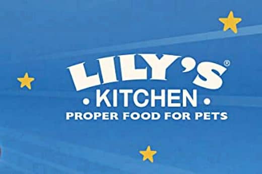 piensos naturales lilys kitchen para perros