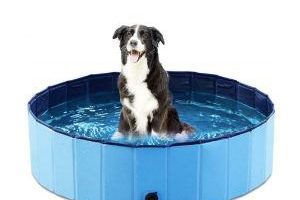 mejores piscinas plegables para perros comprar