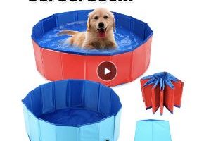 piescina-azul-mascotas-comprar