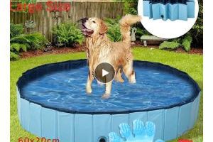 piescina-azul-mascotas-comprar