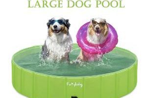 mejor piscina-grande-plegable-perros-comprar