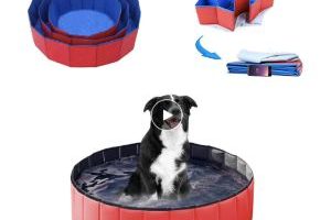 mejores piscinas plegables perros pequeños baratas