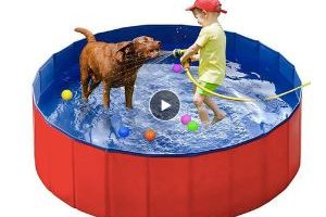 mejores piscinas plegables para perros pequeños