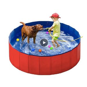 mejores piscinas plegables para perros pequeños