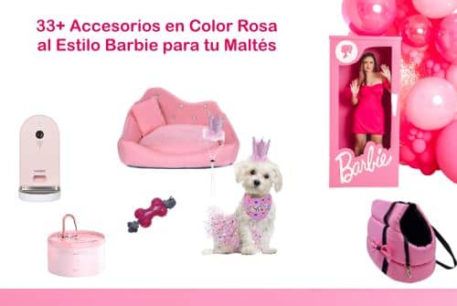 33+ Accesorios en Color Rosa al Estilo Barbie para tu Maltés