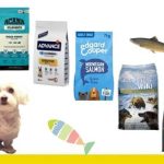 mejores piensos con salmón para perros pequeños