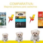 Taste of the Wild Puppy vs Acana Puppy vs Orijen Puppy