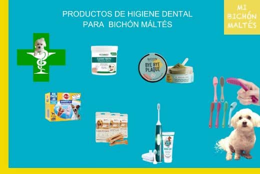productos higiene dental perro bichon maltes