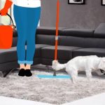 como limpiar orina de perro consejos