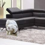 por que mi perro orina en casa causas señales