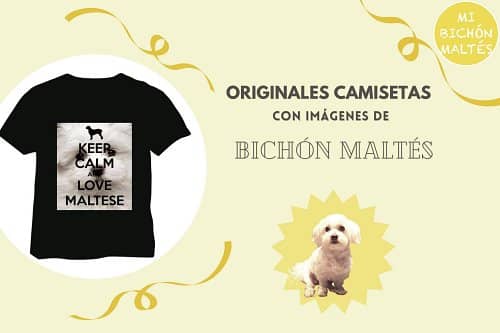 mejores camisetas con imágenes Bichón Maltés