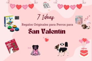 regalos San Valentín para perros