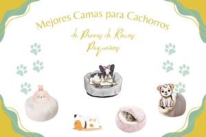 mejores camas para cachorros perros de rasas peque&ntilde;as